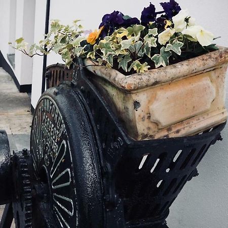 Cartron House Bed & Breakfast Ballinakill  Bagian luar foto