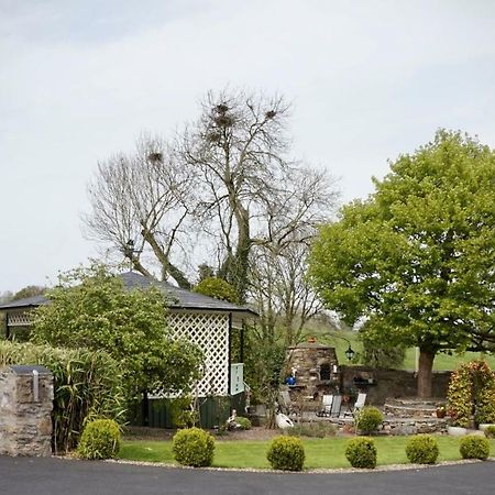 Cartron House Bed & Breakfast Ballinakill  Bagian luar foto