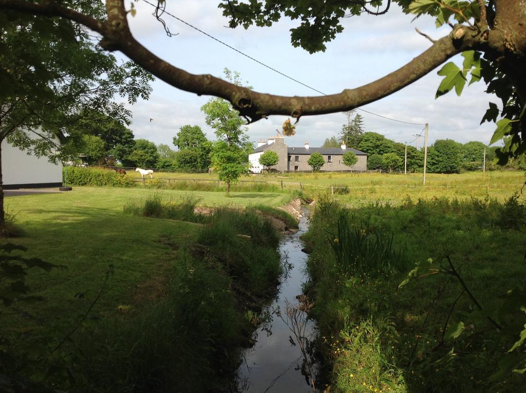 Cartron House Bed & Breakfast Ballinakill  Bagian luar foto