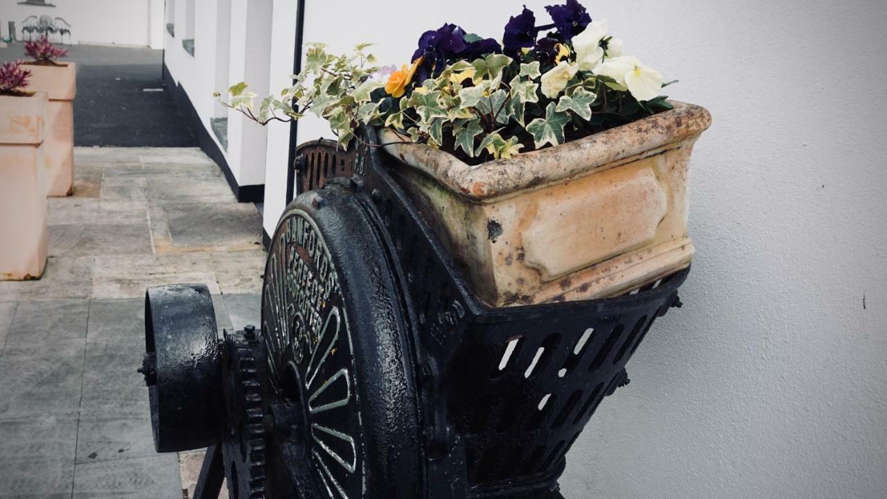 Cartron House Bed & Breakfast Ballinakill  Bagian luar foto