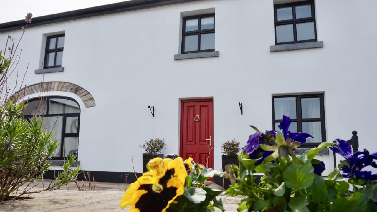 Cartron House Bed & Breakfast Ballinakill  Bagian luar foto