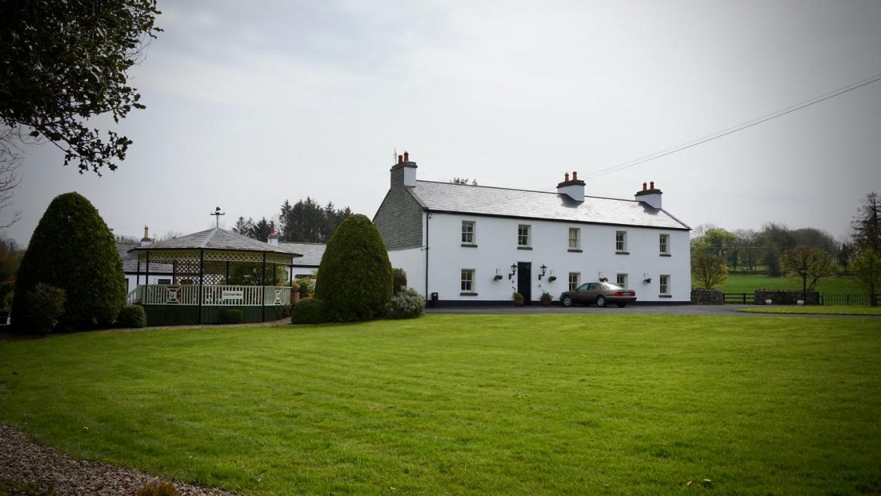 Cartron House Bed & Breakfast Ballinakill  Bagian luar foto