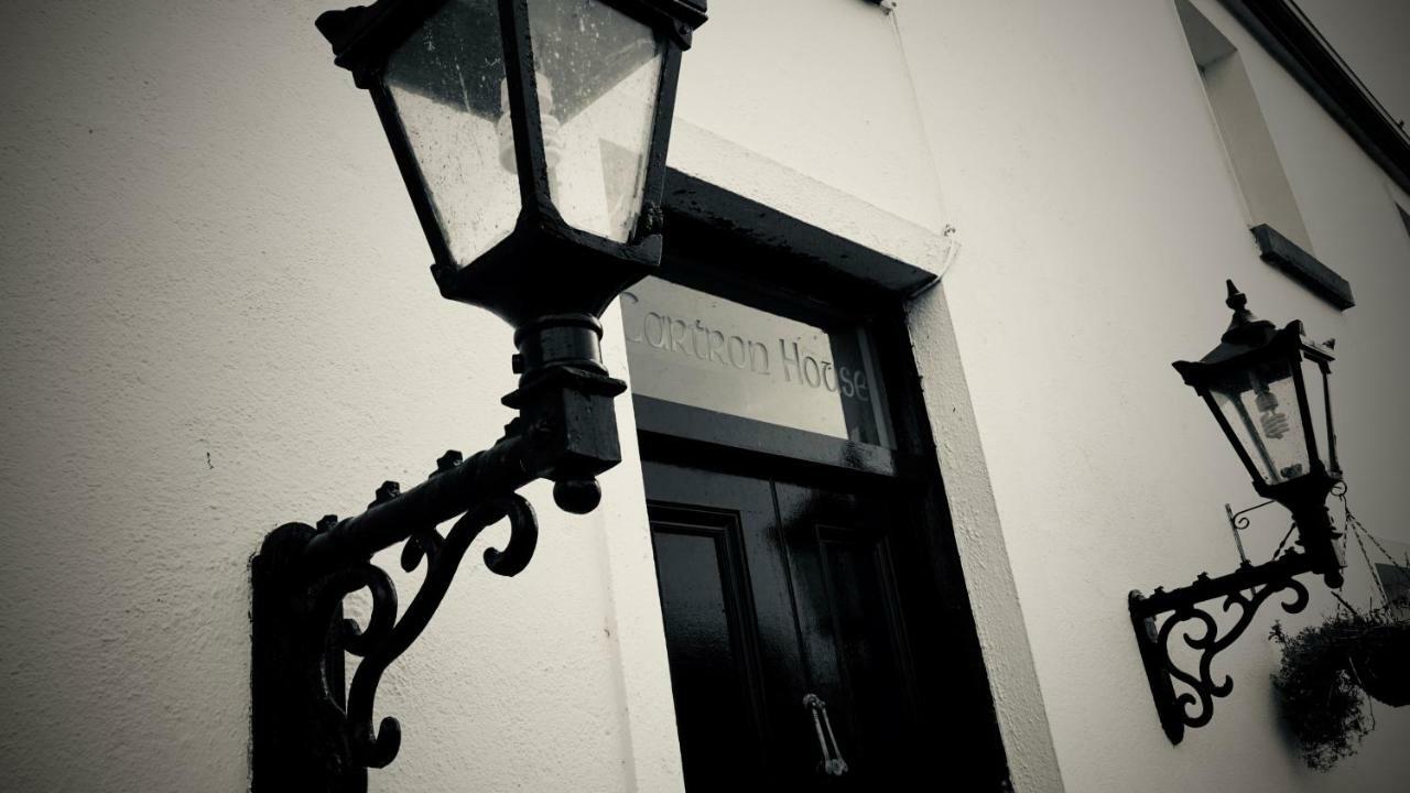 Cartron House Bed & Breakfast Ballinakill  Bagian luar foto